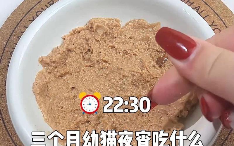 两个月的猫猫吃什么,两个月猫猫吃什么饲料比较好-第2张图片-后鲨宠物 两个月的猫猫吃什么,两个月猫猫吃什么饲料比较好-第2张图片-后鲨宠物