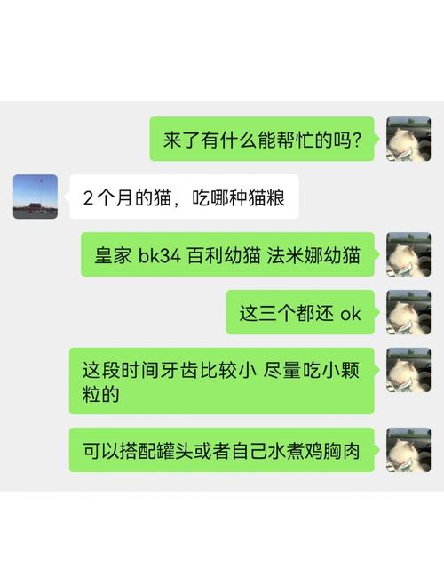 两个月的猫猫吃什么,两个月猫猫吃什么饲料比较好-第4张图片-后鲨宠物 两个月的猫猫吃什么,两个月猫猫吃什么饲料比较好-第4张图片-后鲨宠物