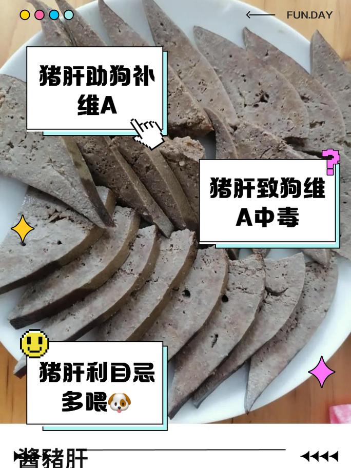 狗狗吃猪肝好吗,狗狗吃猪肝好吗?-第5张图片-后鲨宠物 狗狗吃猪肝好吗,狗狗吃猪肝好吗?-第5张图片-后鲨宠物