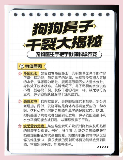 狗狗鼻子干燥怎么回事_狗狗鼻子干干的是什么原因-第2张图片-后鲨宠物 狗狗鼻子干燥怎么回事_狗狗鼻子干干的是什么原因-第2张图片-后鲨宠物