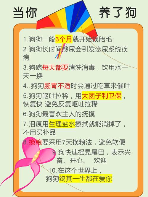 狗狗多大开始换毛,狗狗多大换毛??-第5张图片-后鲨宠物 狗狗多大开始换毛,狗狗多大换毛??-第5张图片-后鲨宠物