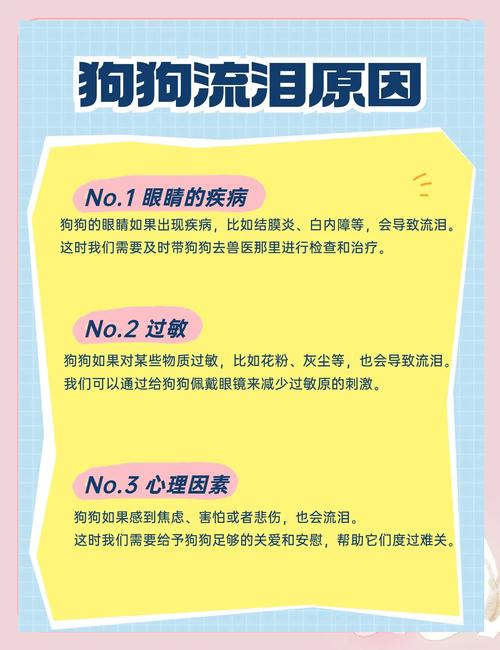 狗狗哭了怎么办_狗哭该怎么办-第5张图片-后鲨宠物 狗狗哭了怎么办_狗哭该怎么办-第5张图片-后鲨宠物