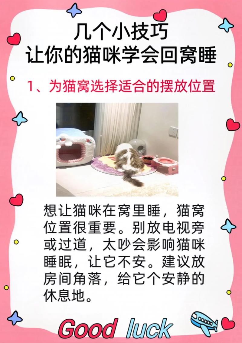 怎么让猫咪认窝,如何教猫咪认窝-第5张图片-后鲨宠物 怎么让猫咪认窝,如何教猫咪认窝-第5张图片-后鲨宠物