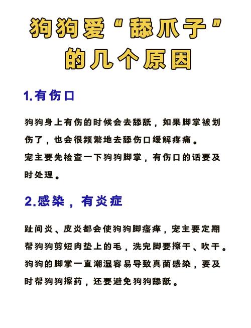 为什么狗狗老是舔爪子,为什么狗狗老是舔爪子怎么回事-第5张图片-后鲨宠物 为什么狗狗老是舔爪子,为什么狗狗老是舔爪子怎么回事-第5张图片-后鲨宠物