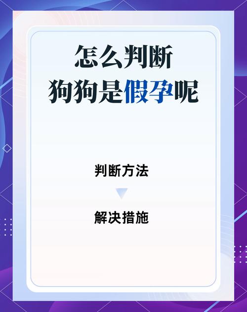狗狗怀孕会流血吗,狗狗怀孕会流血吗怎么办-第4张图片-后鲨宠物 狗狗怀孕会流血吗,狗狗怀孕会流血吗怎么办-第4张图片-后鲨宠物