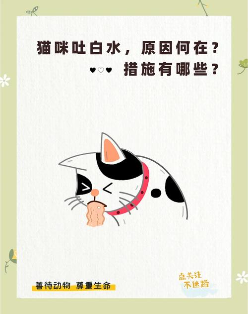 猫咪吐白沫怎么办_猫咪吐白沫怎么办小妙招-第1张图片-后鲨宠物 猫咪吐白沫怎么办_猫咪吐白沫怎么办小妙招-第1张图片-后鲨宠物