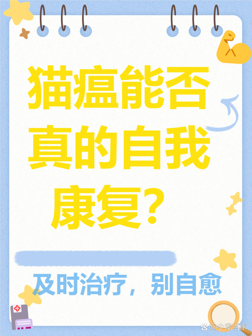 猫咪为什么会得猫瘟,猫为什么容易得猫瘟-第3张图片-后鲨宠物 猫咪为什么会得猫瘟,猫为什么容易得猫瘟-第3张图片-后鲨宠物