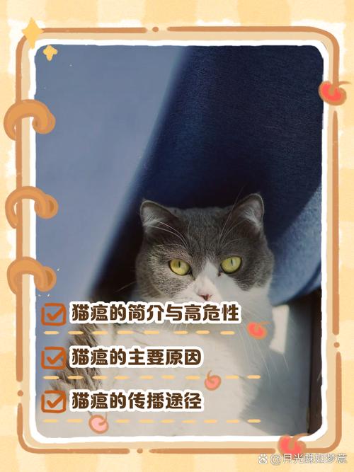 猫咪为什么会得猫瘟,猫为什么容易得猫瘟-第4张图片-后鲨宠物 猫咪为什么会得猫瘟,猫为什么容易得猫瘟-第4张图片-后鲨宠物