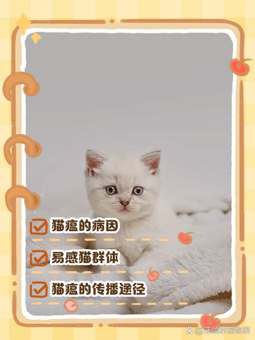 猫咪为什么会得猫瘟,猫为什么容易得猫瘟-第5张图片-后鲨宠物 猫咪为什么会得猫瘟,猫为什么容易得猫瘟-第5张图片-后鲨宠物