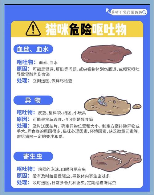 猫咪一周没拉屎怎么办,猫咪一个星期没拉屎-第1张图片-后鲨宠物 猫咪一周没拉屎怎么办,猫咪一个星期没拉屎-第1张图片-后鲨宠物