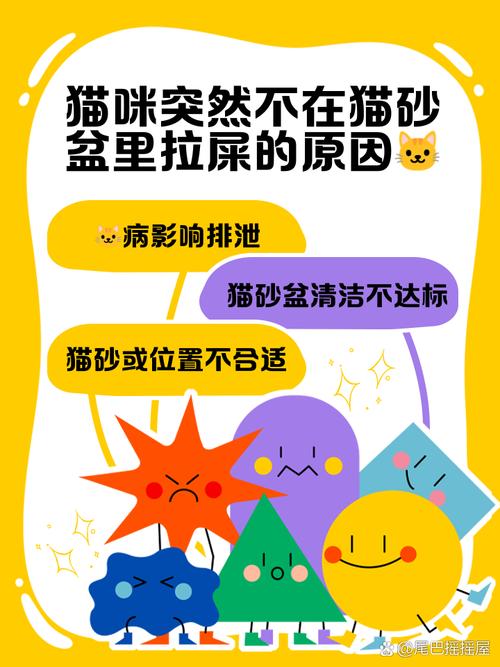 猫咪一周没拉屎怎么办,猫咪一个星期没拉屎-第3张图片-后鲨宠物 猫咪一周没拉屎怎么办,猫咪一个星期没拉屎-第3张图片-后鲨宠物