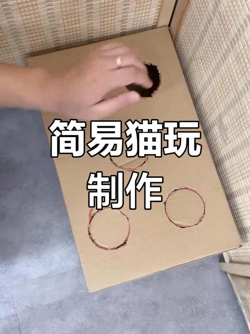 自制简单猫咪玩具_如何自己制作猫玩具-第4张图片-后鲨宠物 自制简单猫咪玩具_如何自己制作猫玩具-第4张图片-后鲨宠物