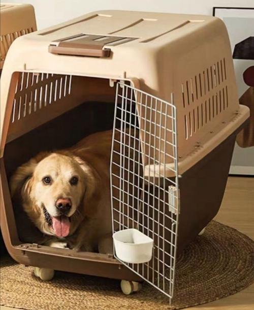 地铁上可以带狗狗吗,地铁可以带狗狗上车吗-第3张图片-后鲨宠物 地铁上可以带狗狗吗,地铁可以带狗狗上车吗-第3张图片-后鲨宠物