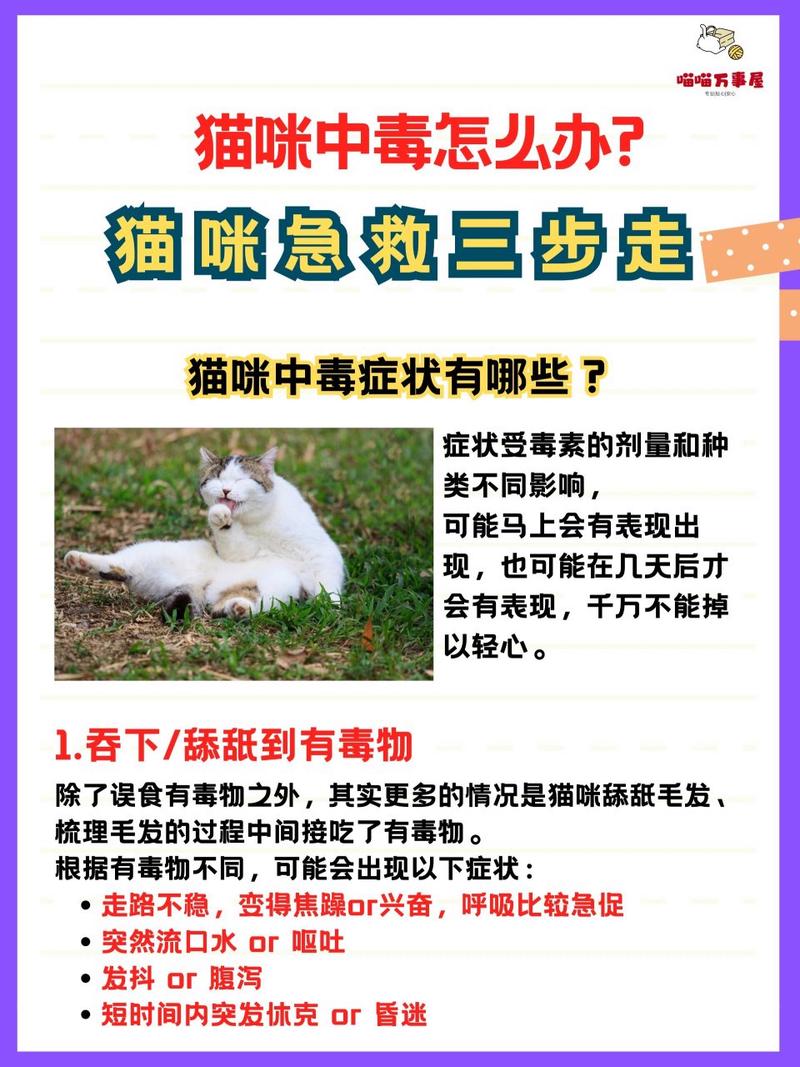 猫咪吃了蟑螂药,猫咪吃了蟑螂药10小时没反应?-第6张图片-后鲨宠物 猫咪吃了蟑螂药,猫咪吃了蟑螂药10小时没反应?-第6张图片-后鲨宠物