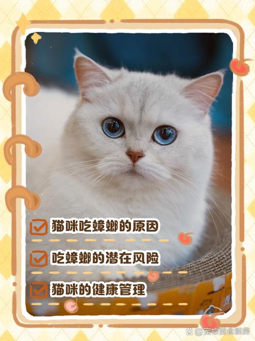 猫咪吃蟑螂怎么办_猫咪吃蟑螂怎么办视频-第3张图片-后鲨宠物 猫咪吃蟑螂怎么办_猫咪吃蟑螂怎么办视频-第3张图片-后鲨宠物