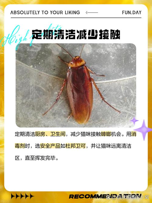 猫咪吃蟑螂怎么办_猫咪吃蟑螂怎么办视频-第5张图片-后鲨宠物 猫咪吃蟑螂怎么办_猫咪吃蟑螂怎么办视频-第5张图片-后鲨宠物