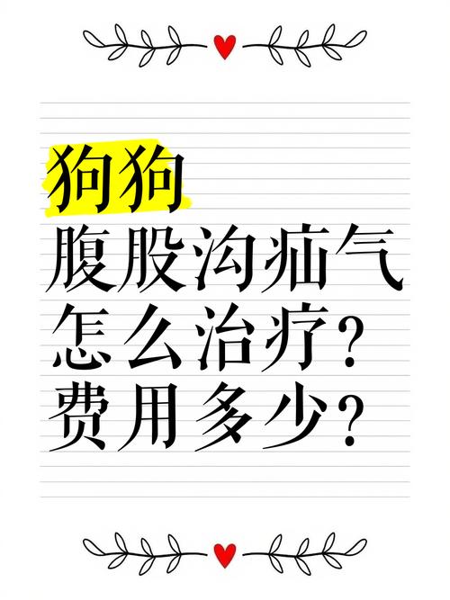 狗狗疝气必须手术吗,狗狗疝气能活多久-第5张图片-后鲨宠物 狗狗疝气必须手术吗,狗狗疝气能活多久-第5张图片-后鲨宠物
