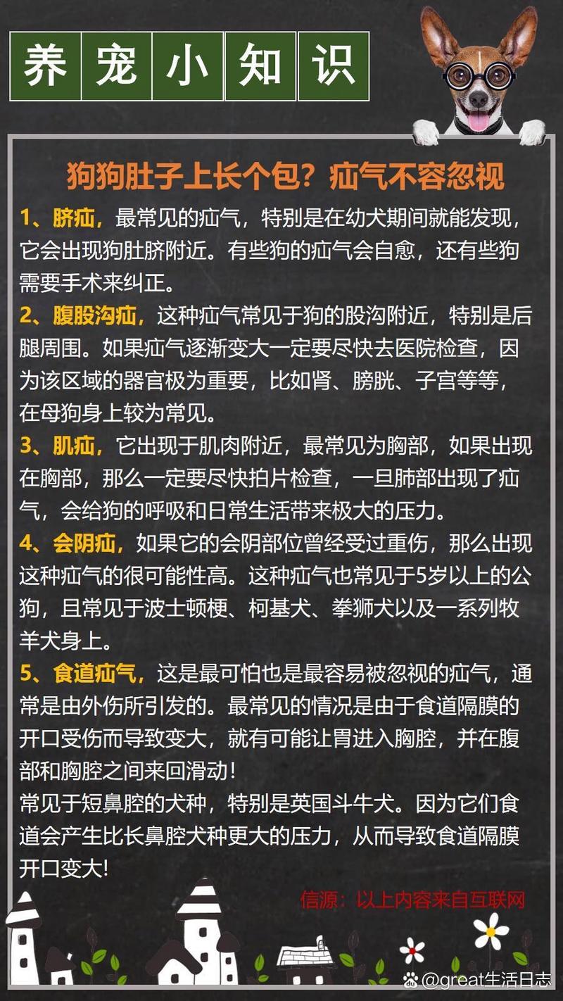 狗狗疝气必须手术吗,狗狗疝气能活多久-第6张图片-后鲨宠物 狗狗疝气必须手术吗,狗狗疝气能活多久-第6张图片-后鲨宠物