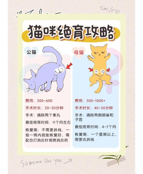 猫咪什么时候可以绝育_猫咪什么时候绝育比较好-第1张图片-后鲨宠物 猫咪什么时候可以绝育_猫咪什么时候绝育比较好-第1张图片-后鲨宠物