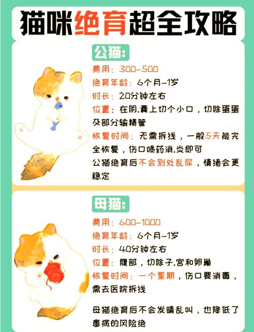 猫咪什么时候可以绝育_猫咪什么时候绝育比较好-第2张图片-后鲨宠物 猫咪什么时候可以绝育_猫咪什么时候绝育比较好-第2张图片-后鲨宠物