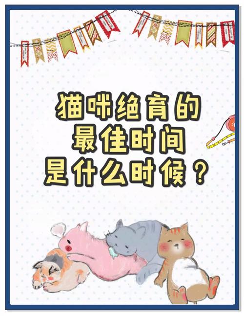 猫咪什么时候可以绝育_猫咪什么时候绝育比较好-第6张图片-后鲨宠物 猫咪什么时候可以绝育_猫咪什么时候绝育比较好-第6张图片-后鲨宠物