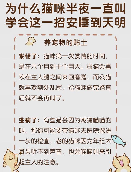 防止猫咪每天早上叫唤_防止猫咪每天早上敲门-第2张图片-后鲨宠物 防止猫咪每天早上叫唤_防止猫咪每天早上敲门-第2张图片-后鲨宠物