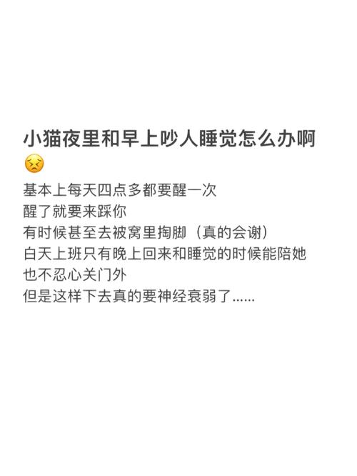 防止猫咪每天早上叫唤_防止猫咪每天早上敲门-第3张图片-后鲨宠物 防止猫咪每天早上叫唤_防止猫咪每天早上敲门-第3张图片-后鲨宠物