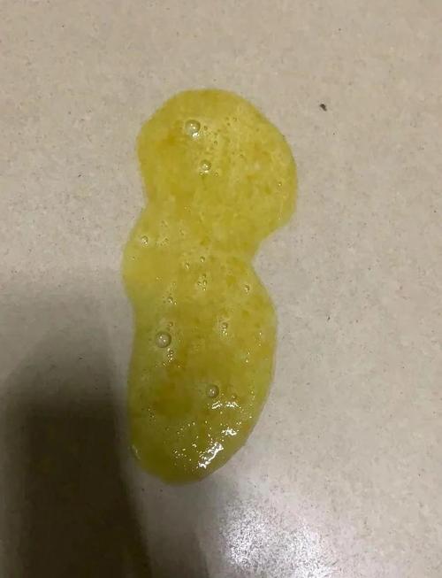 狗狗怀孕吐了怎么回事,狗狗怀孕之后最后吐了?-第2张图片-后鲨宠物 狗狗怀孕吐了怎么回事,狗狗怀孕之后最后吐了?-第2张图片-后鲨宠物