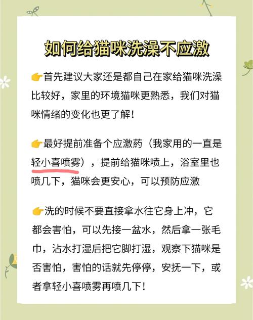 猫咪第一次洗澡_猫咪第一次洗澡注意些什么-第5张图片-后鲨宠物 猫咪第一次洗澡_猫咪第一次洗澡注意些什么-第5张图片-后鲨宠物