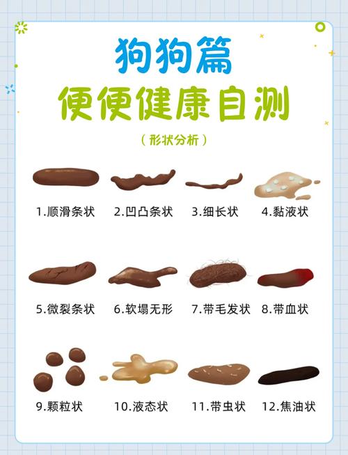 狗狗拉细长便便怎么办_狗拉细长的便便-第1张图片-后鲨宠物 狗狗拉细长便便怎么办_狗拉细长的便便-第1张图片-后鲨宠物