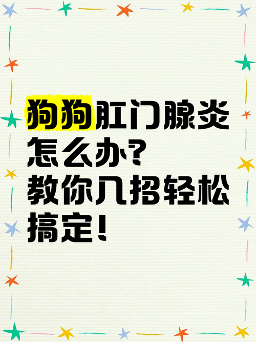 狗狗肛门腺发炎用啥药,狗狗肛门腺发炎擦什么药膏?-第3张图片-后鲨宠物 狗狗肛门腺发炎用啥药,狗狗肛门腺发炎擦什么药膏?-第3张图片-后鲨宠物
