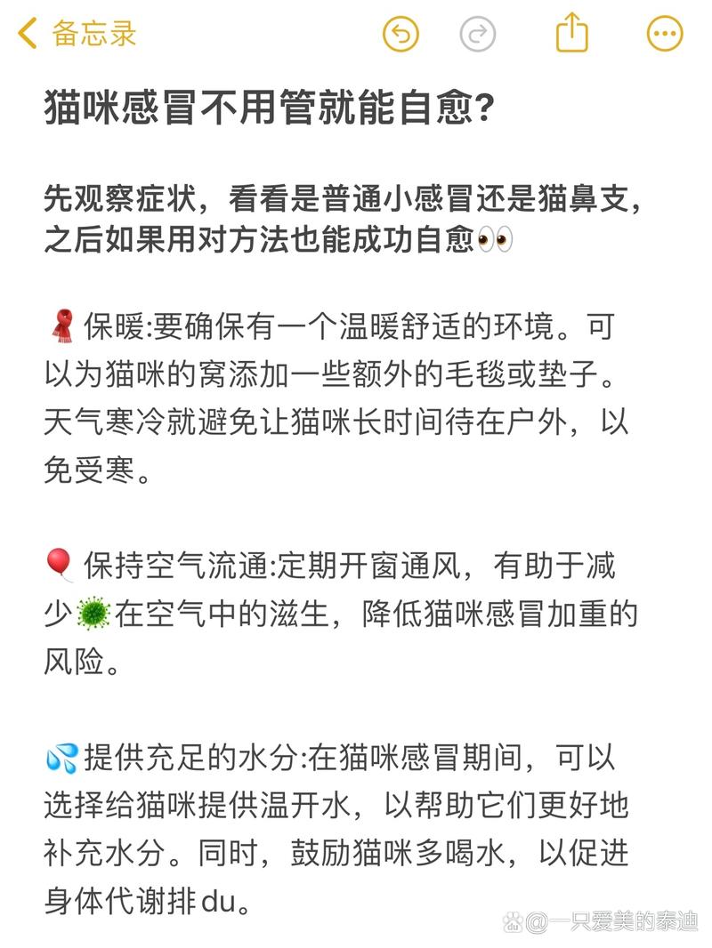 猫咪感冒了会自己好吗_猫咪感冒能自愈么-第3张图片-后鲨宠物 猫咪感冒了会自己好吗_猫咪感冒能自愈么-第3张图片-后鲨宠物