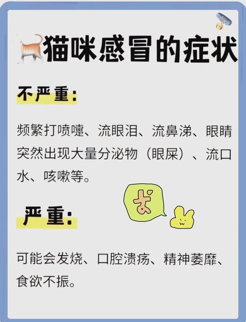 猫咪感冒了会自己好吗_猫咪感冒能自愈么-第4张图片-后鲨宠物 猫咪感冒了会自己好吗_猫咪感冒能自愈么-第4张图片-后鲨宠物