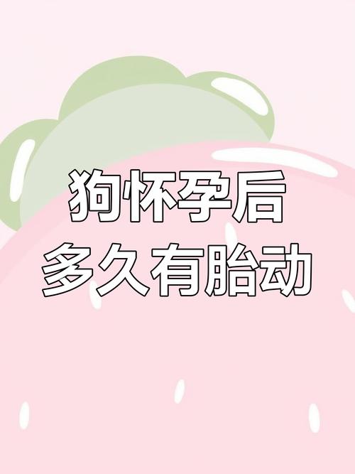 狗狗怀孕多少天有胎动,狗狗怀孕多久有胎动的感觉?-第4张图片-后鲨宠物 狗狗怀孕多少天有胎动,狗狗怀孕多久有胎动的感觉?-第4张图片-后鲨宠物