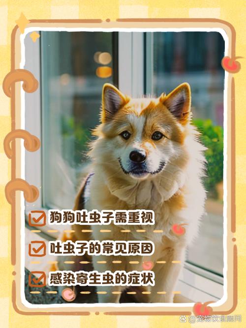 狗狗呕吐有虫子怎么办,狗狗呕吐有虫是怎么回事?-第5张图片-后鲨宠物 狗狗呕吐有虫子怎么办,狗狗呕吐有虫是怎么回事?-第5张图片-后鲨宠物