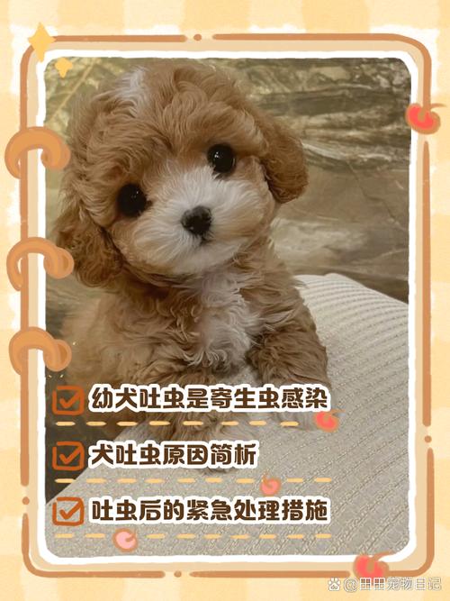 狗狗呕吐有虫子怎么办,狗狗呕吐有虫是怎么回事?-第6张图片-后鲨宠物 狗狗呕吐有虫子怎么办,狗狗呕吐有虫是怎么回事?-第6张图片-后鲨宠物