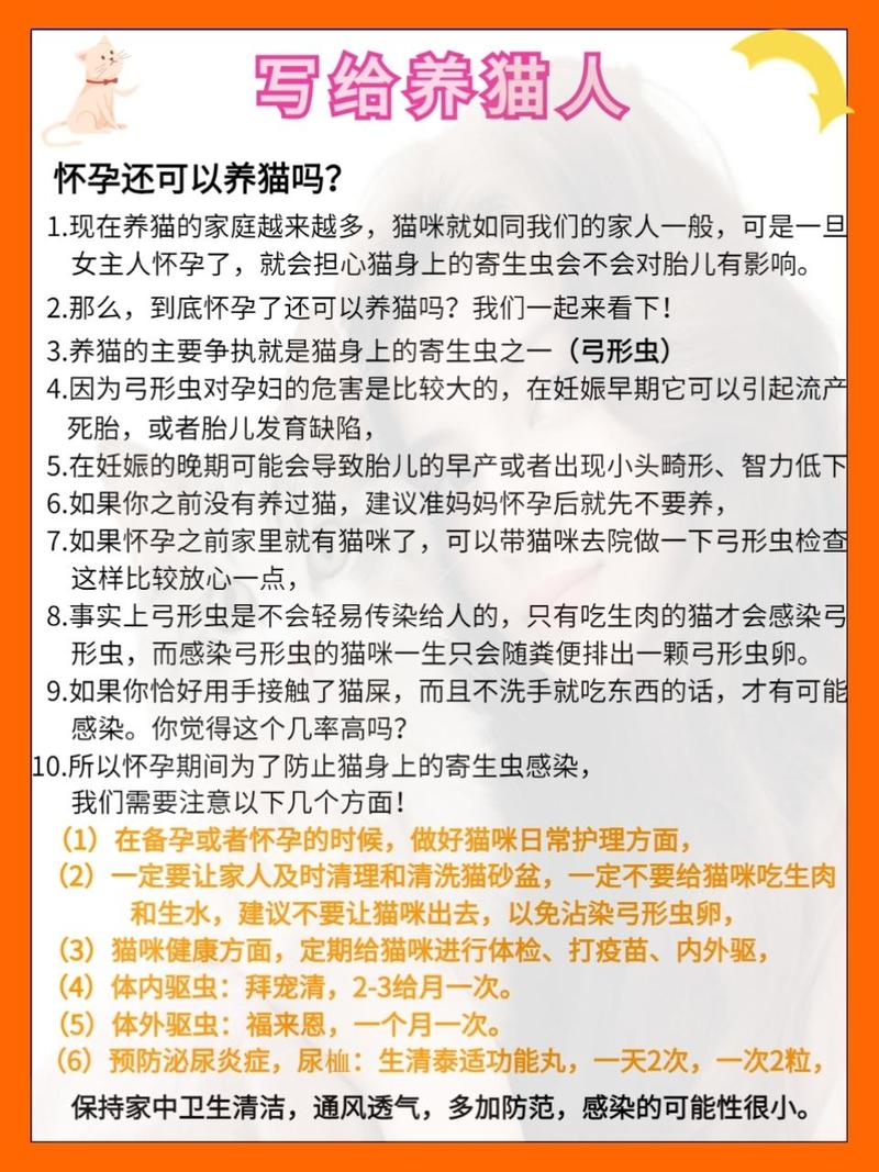 孕妇能接触猫咪吗,孕妇能接触小猫吗?-第5张图片-后鲨宠物 孕妇能接触猫咪吗,孕妇能接触小猫吗?-第5张图片-后鲨宠物