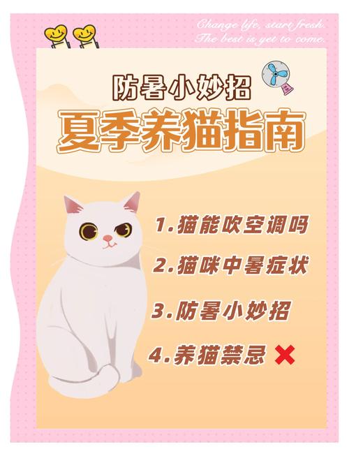 猫咪夏天热怎么办,猫咪夏天太热了?-第3张图片-后鲨宠物 猫咪夏天热怎么办,猫咪夏天太热了?-第3张图片-后鲨宠物