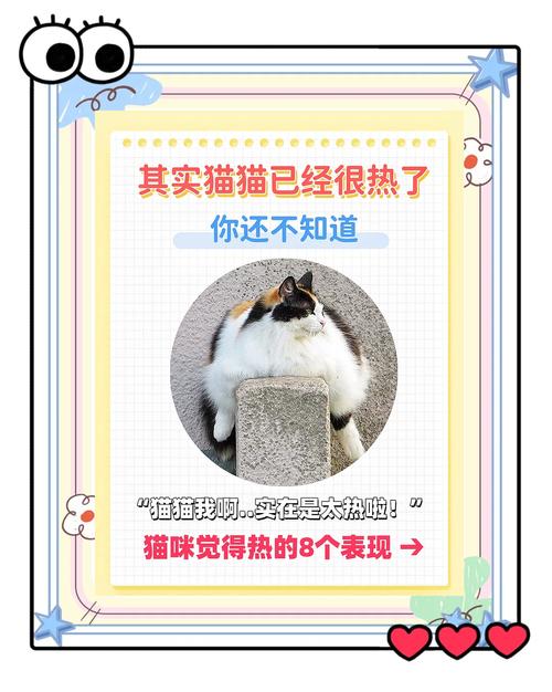 猫咪夏天热怎么办,猫咪夏天太热了?-第4张图片-后鲨宠物 猫咪夏天热怎么办,猫咪夏天太热了?-第4张图片-后鲨宠物