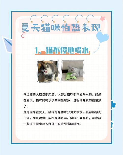 猫咪夏天热怎么办,猫咪夏天太热了?-第5张图片-后鲨宠物 猫咪夏天热怎么办,猫咪夏天太热了?-第5张图片-后鲨宠物
