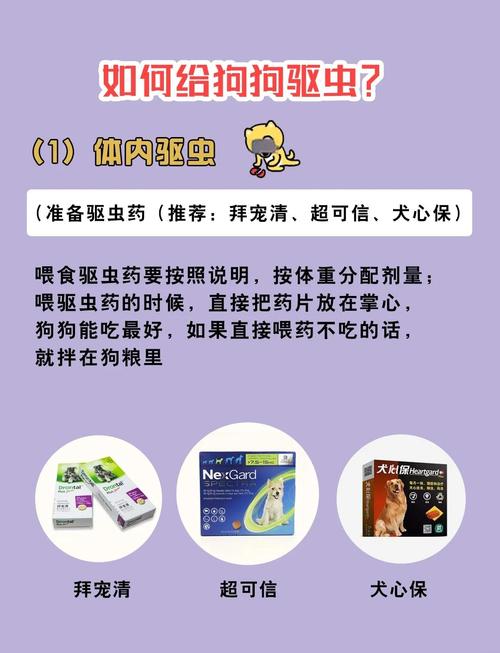 狗狗寄生虫怎么去除,狗狗寄生虫病怎么治疗-第1张图片-后鲨宠物 狗狗寄生虫怎么去除,狗狗寄生虫病怎么治疗-第1张图片-后鲨宠物