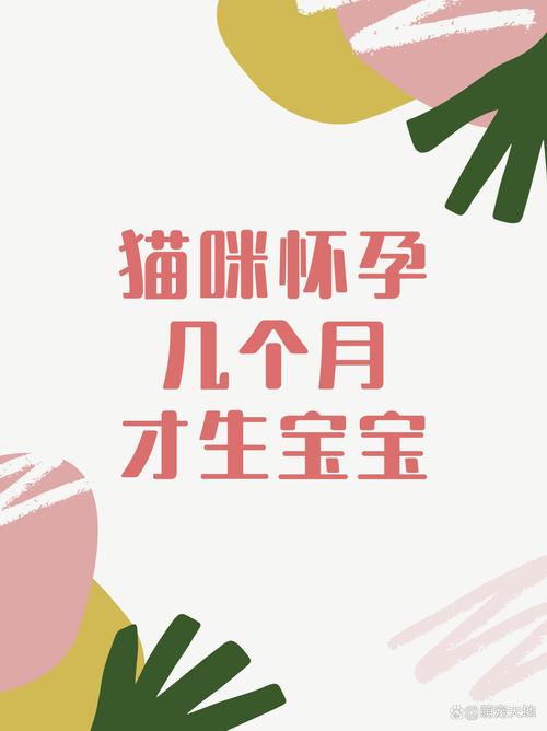 猫咪多大可以怀孕_猫咪多大可以怀孕生孩子-第4张图片-后鲨宠物 猫咪多大可以怀孕_猫咪多大可以怀孕生孩子-第4张图片-后鲨宠物