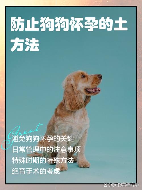 怀孕可以摸狗狗吗,怀孕可以摸狗狗吗有影响吗?-第4张图片-后鲨宠物 怀孕可以摸狗狗吗,怀孕可以摸狗狗吗有影响吗?-第4张图片-后鲨宠物