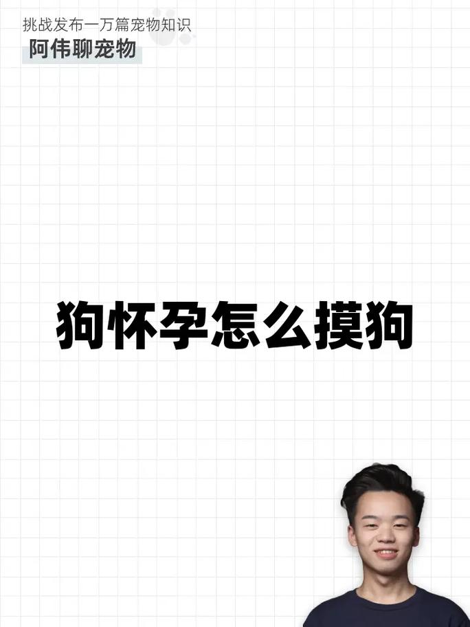 怀孕可以摸狗狗吗,怀孕可以摸狗狗吗有影响吗?-第6张图片-后鲨宠物 怀孕可以摸狗狗吗,怀孕可以摸狗狗吗有影响吗?-第6张图片-后鲨宠物