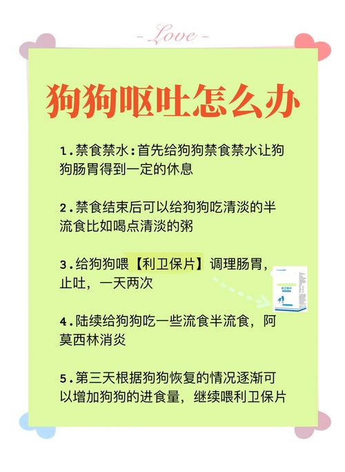 小狗狗吐白沫怎么办,小狗吐白色沫?-第1张图片-后鲨宠物 小狗狗吐白沫怎么办,小狗吐白色沫?-第1张图片-后鲨宠物