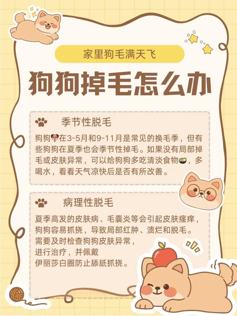 狗狗冬天掉毛吗_狗狗冬天掉毛厉害吗-第2张图片-后鲨宠物 狗狗冬天掉毛吗_狗狗冬天掉毛厉害吗-第2张图片-后鲨宠物