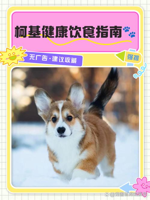 狗狗可以吃黑米粥吗_狗狗可以吃黑米吗?-第5张图片-后鲨宠物 狗狗可以吃黑米粥吗_狗狗可以吃黑米吗?-第5张图片-后鲨宠物