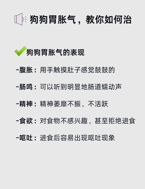 狗狗肚子不舒服怎么办,狗狗肚子不舒服怎么办??-第1张图片-后鲨宠物 狗狗肚子不舒服怎么办,狗狗肚子不舒服怎么办??-第1张图片-后鲨宠物