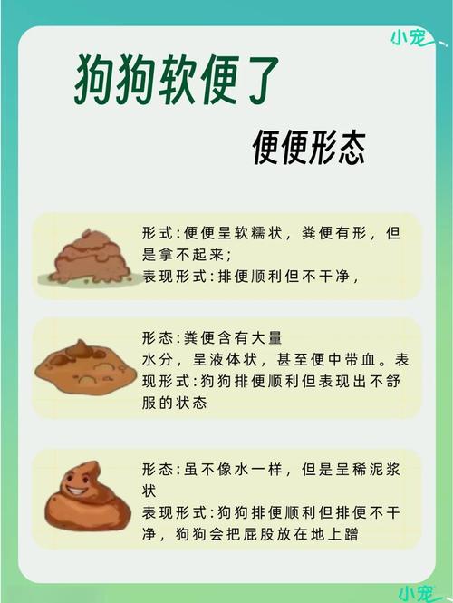 狗狗肚子不舒服怎么办,狗狗肚子不舒服怎么办??-第4张图片-后鲨宠物 狗狗肚子不舒服怎么办,狗狗肚子不舒服怎么办??-第4张图片-后鲨宠物