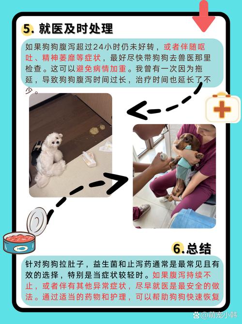 狗狗肚子不舒服怎么办,狗狗肚子不舒服怎么办??-第5张图片-后鲨宠物 狗狗肚子不舒服怎么办,狗狗肚子不舒服怎么办??-第5张图片-后鲨宠物